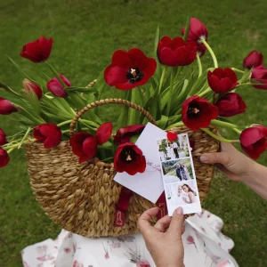Bella Tulipa