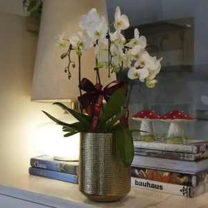 Vaso Flor de Ouro